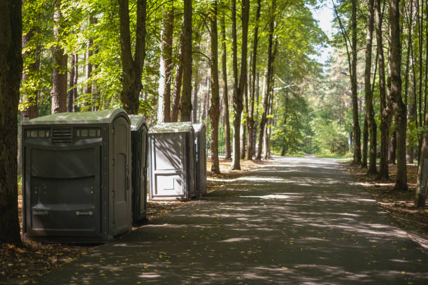 Portable Toilet Options We Offer in Seneca, IL